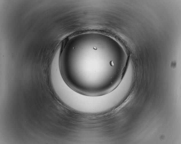 X0000102541161200808221922