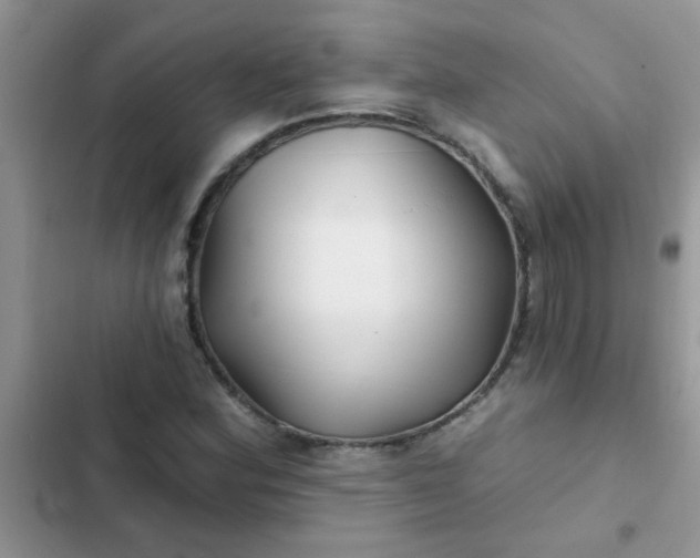 X0000102541164200808221922