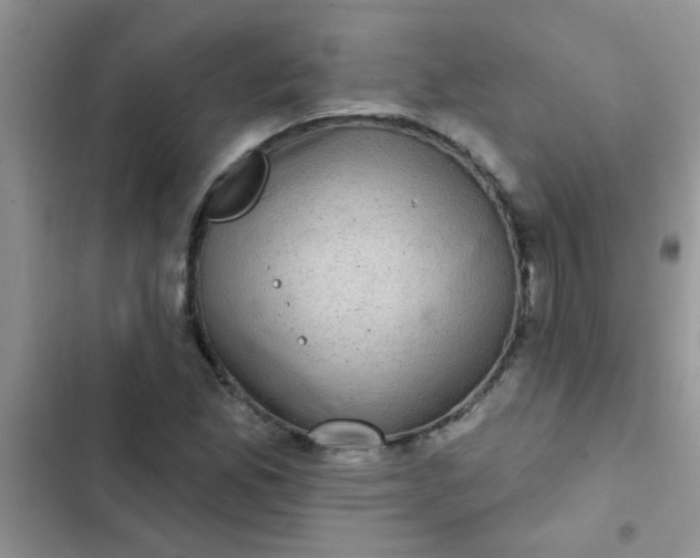 X0000102541165200808221922