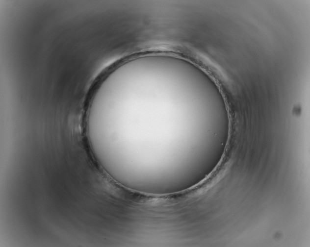 X0000102541166200808221922