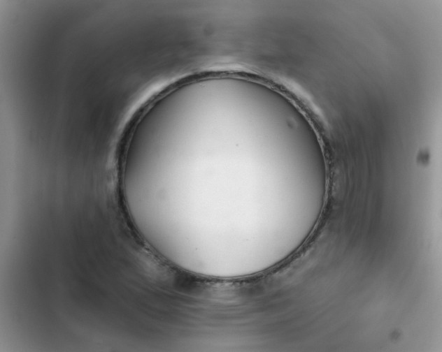 X0000102541167200808221922