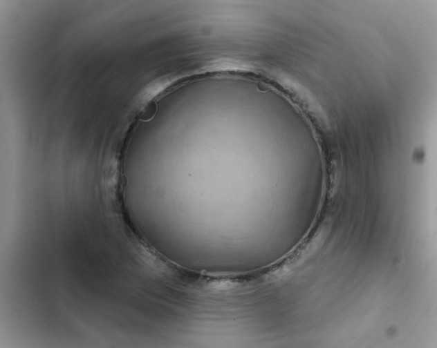 X0000102541169200808221922