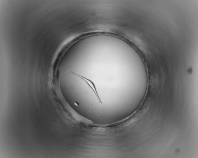 X0000102541172200808221922