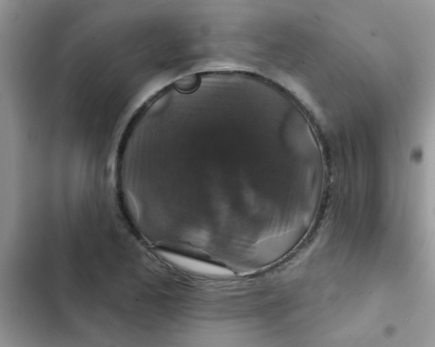 X0000102541173200808221922