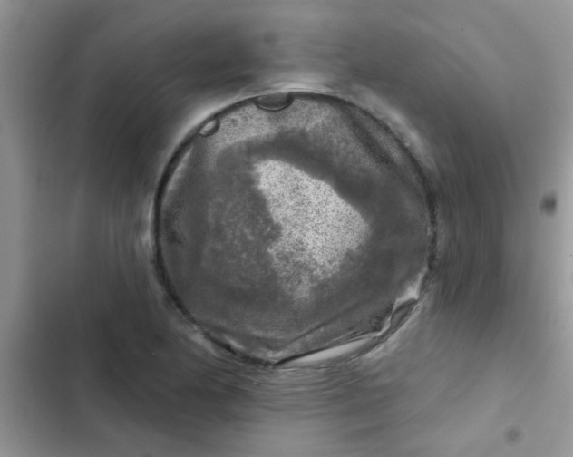 X0000102541174200808221922