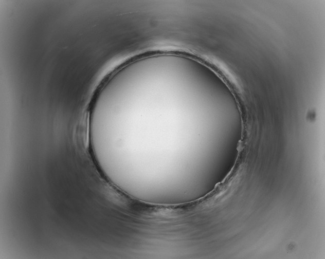 X0000102541175200808221922
