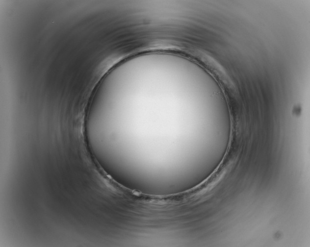 X0000102541177200808221922