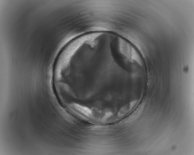 X0000102541179200808221922