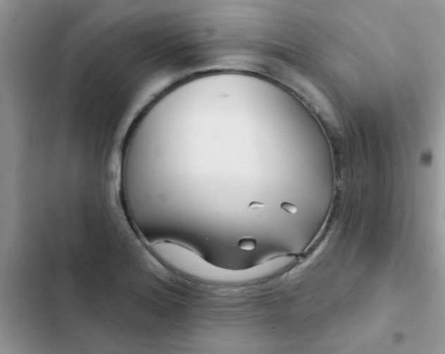 X0000102541180200808221922