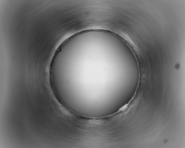 X0000102541181200808221922