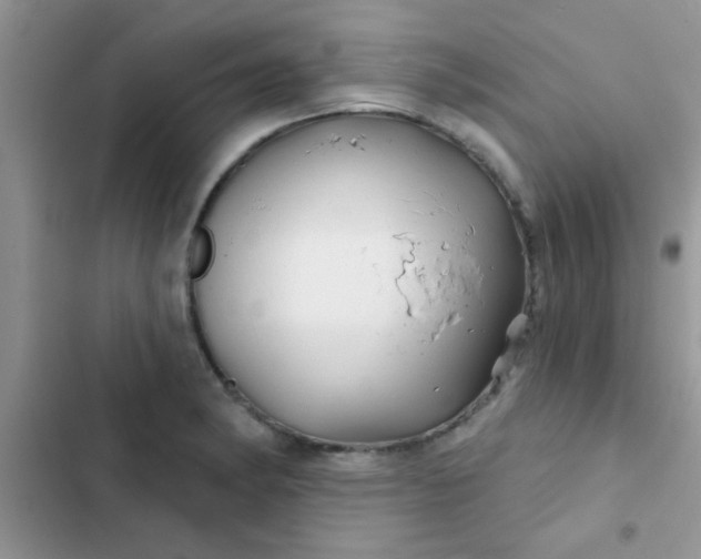 X0000102541182200808221922