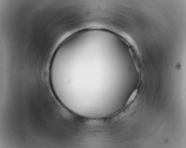 X0000102541183200808221922