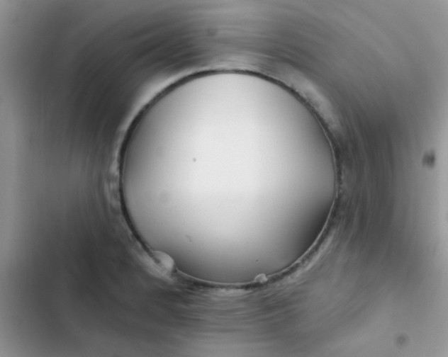 X0000102541184200808221922