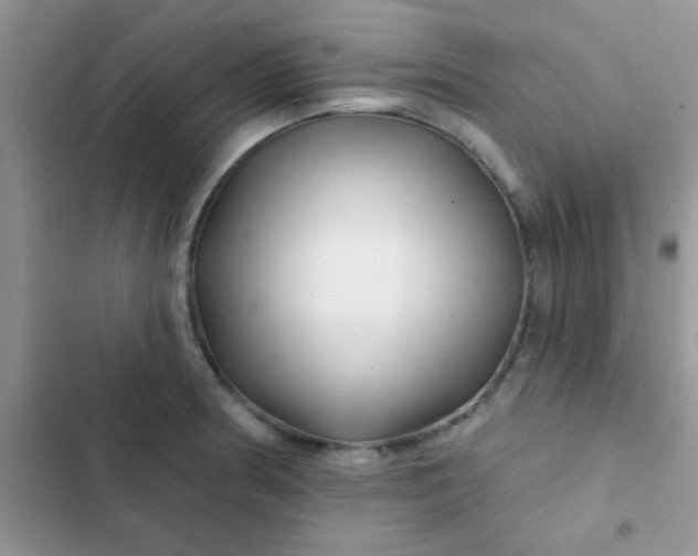 X0000102541186200808221922