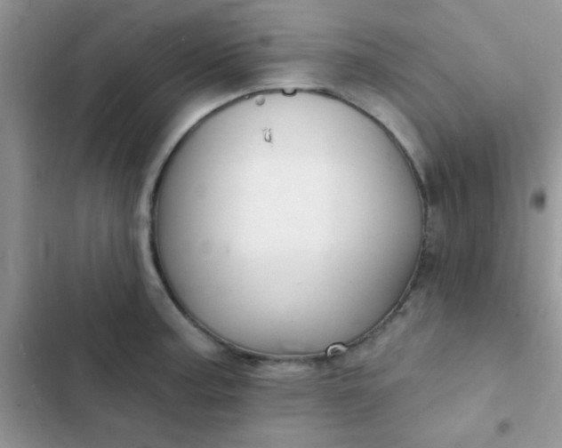 X0000102541187200808221922
