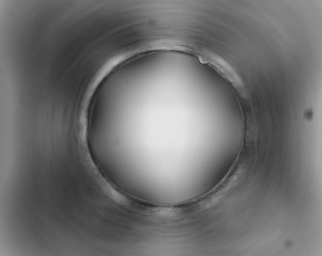 X0000102541188200808221922