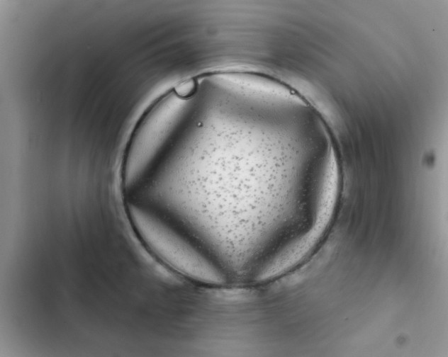 X0000102541189200808221922