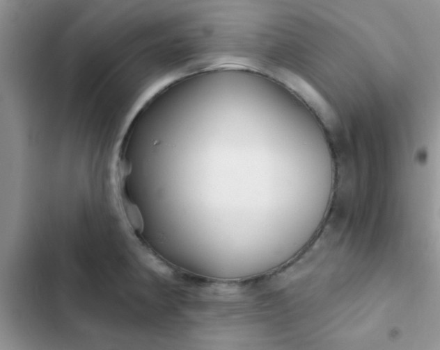 X0000102541190200808221922