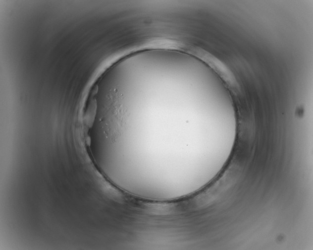 X0000102541192200808221922