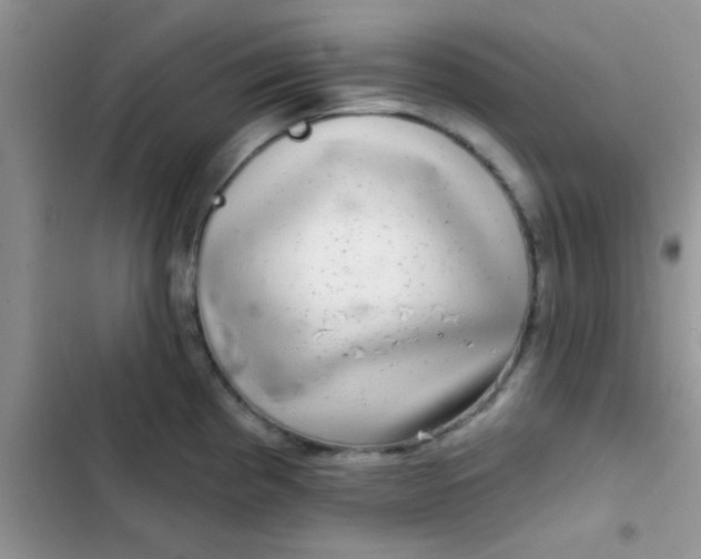 X0000102541193200808221922