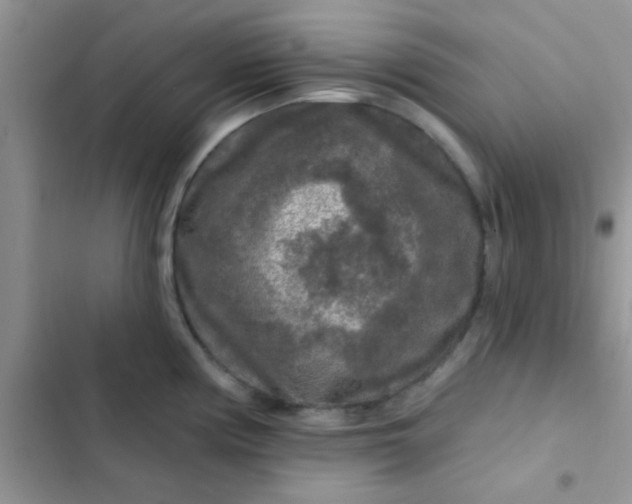 X0000102541194200808221922
