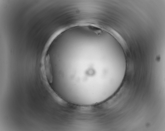 X0000102541196200808221922