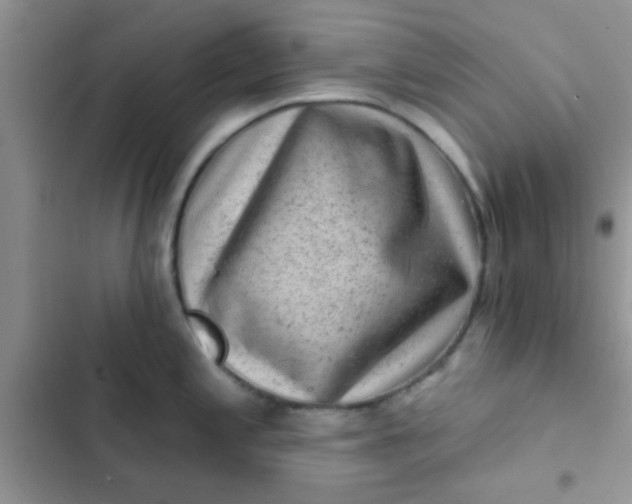 X0000102541197200808221922