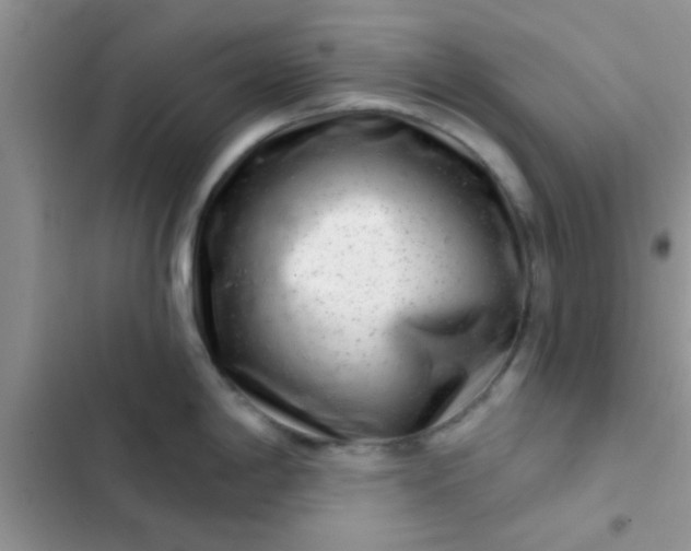 X0000102541198200808221922