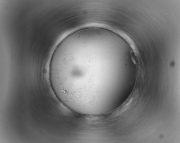 X0000102541199200808221922