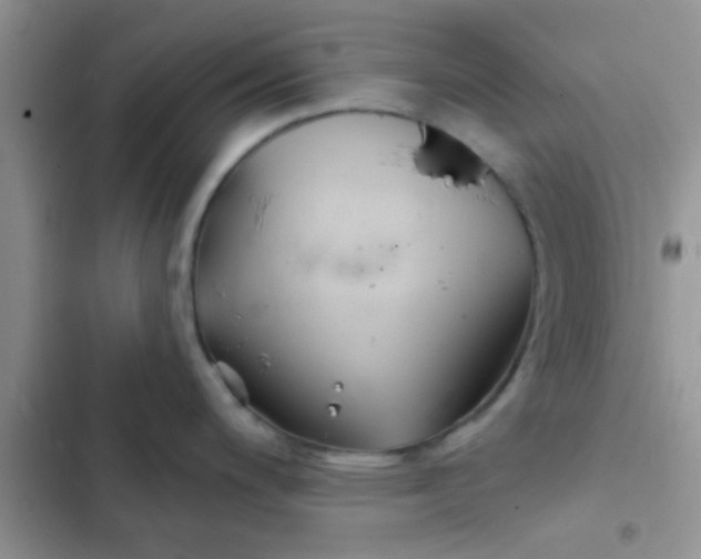 X0000102541200200808221921