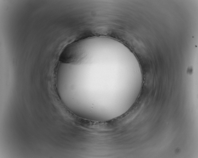 X0000102541201200808221921