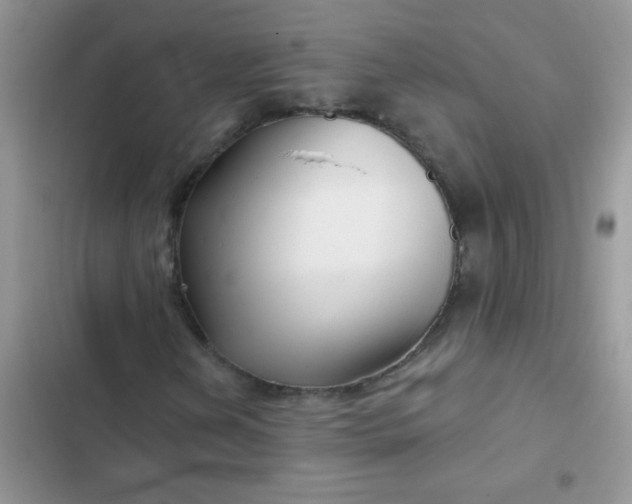 X0000102541202200808221921