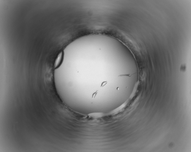 X0000102541204200808221921