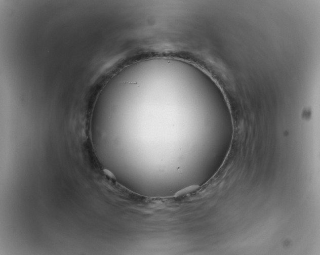 X0000102541205200808221921