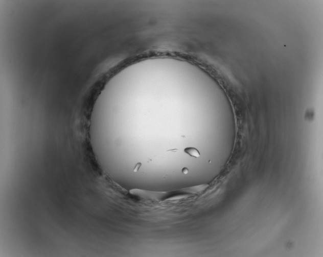 X0000102541207200808221921