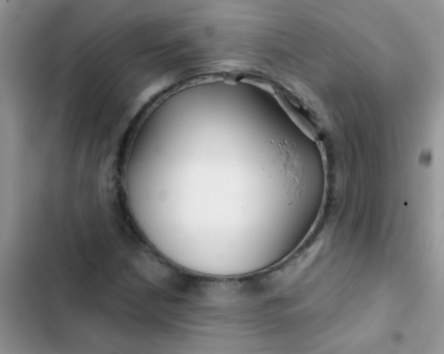 X0000102541210200808221921