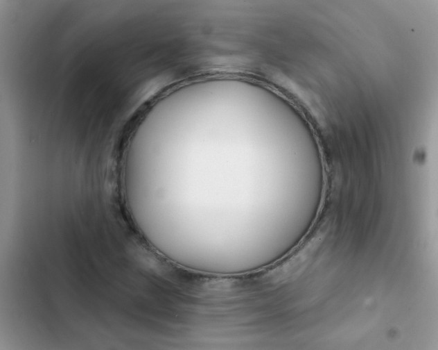 X0000102541211200808221921