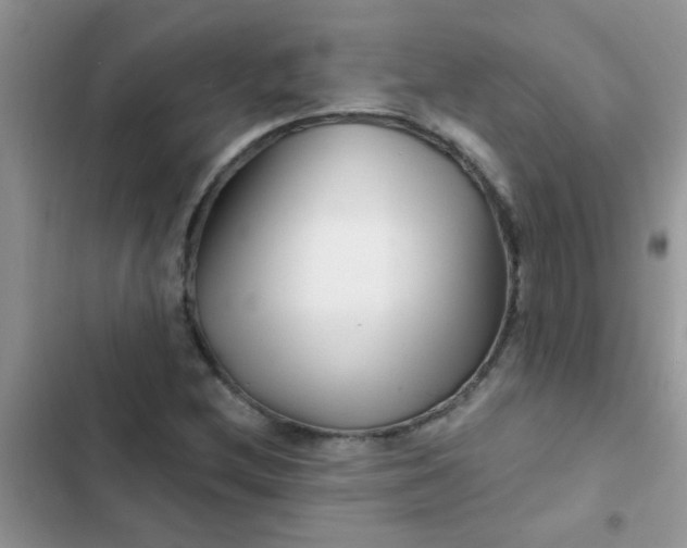X0000102541212200808221921