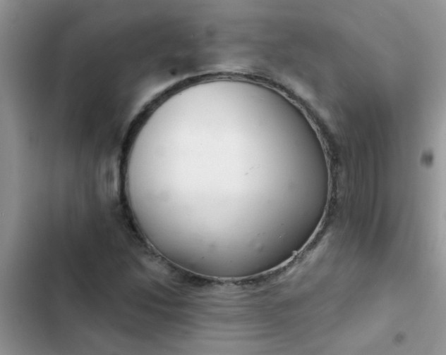 X0000102541214200808221921