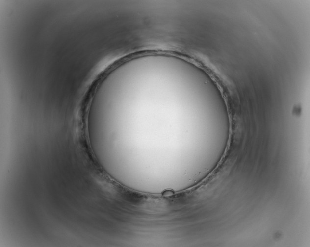 X0000102541215200808221921