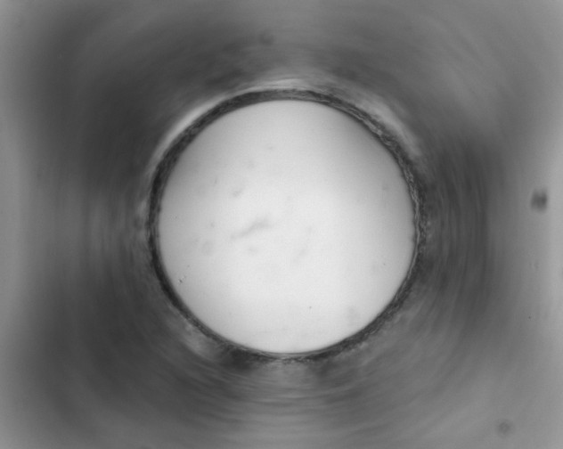 X0000102541216200808221921
