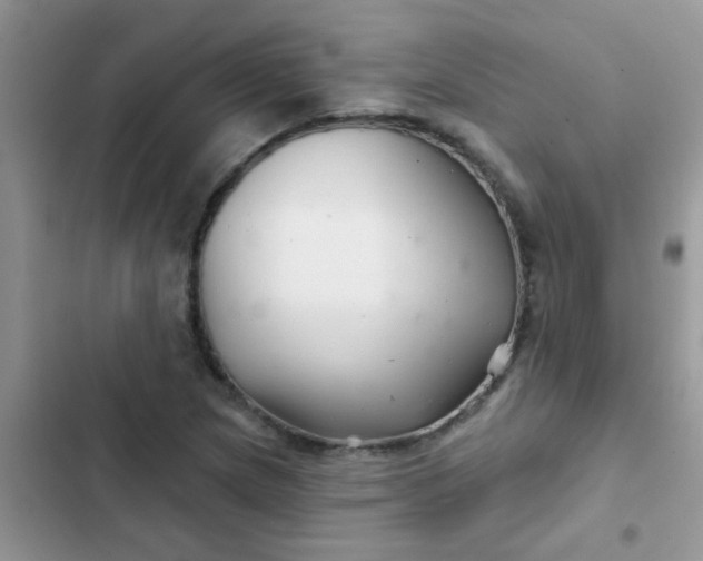 X0000102541217200808221921