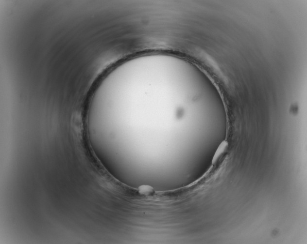 X0000102541218200808221921