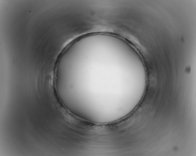 X0000102541220200808221921