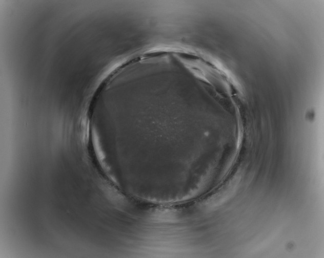 X0000102541221200808221921