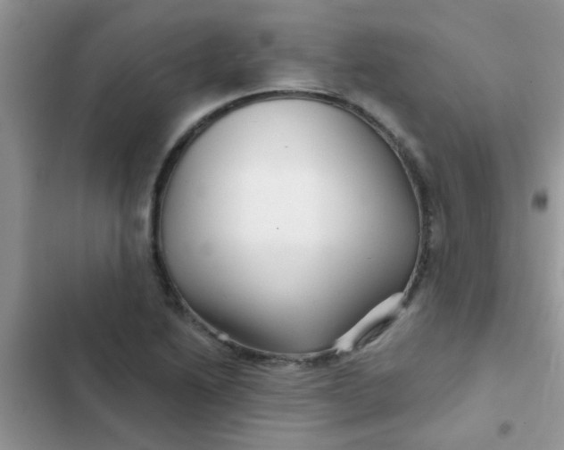 X0000102541222200808221921