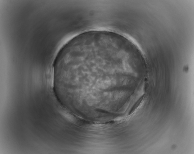 X0000102541223200808221921