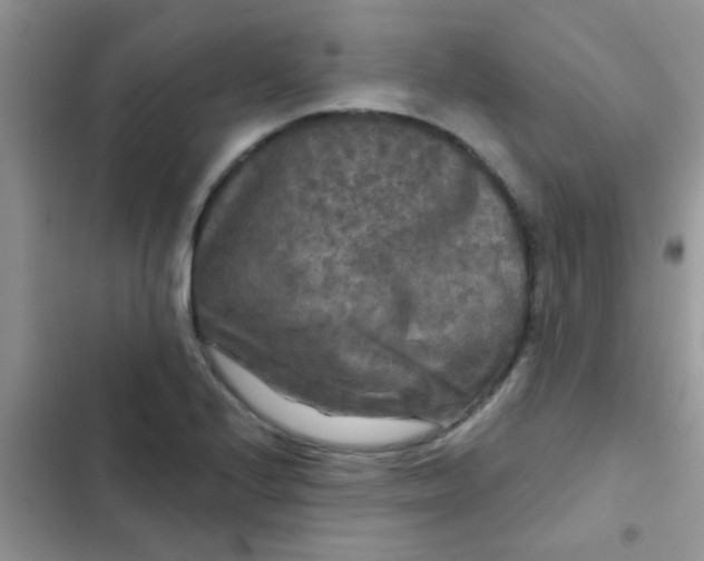 X0000102541224200808221921