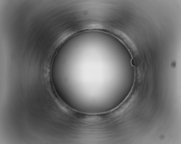 X0000102541225200808221921