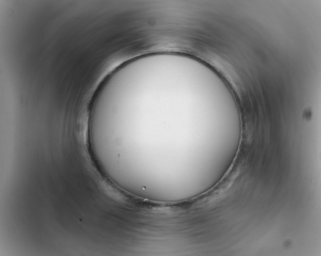 X0000102541227200808221921